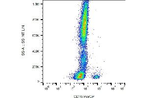 Flow cytometry analysis (surface staining) of human peripheral blood cells with anti-human CD19 (LT19) PerCP.
