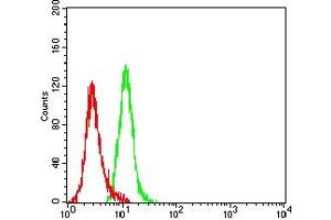 Flow Cytometry (FACS) image for anti-Keratin 19 (KRT19) (AA 80-400) antibody (ABIN7193468)