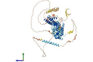 Protein Structure (PS) image for Cyclic Nucleotide Gated Channel beta 3 (CNGB3) (AA 1-809) protein (His tag) (ABIN7553486)