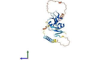 Protein Structure (PS) image for Killer Cell Lectin-Like Receptor Subfamily C, Member 3 (KLRC3) (AA 1-240) protein (His tag) (ABIN7549862)