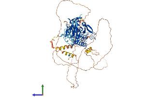 Protein Structure (PS) image for RAP1 GTPase Activating Protein 2 (RAP1GAP2) (AA 1-730) protein (His tag) (ABIN7551546)