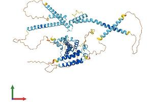 Protein Structure (PS) image for RUN Domain Containing 1 (RUNDC1) (AA 1-615) protein (His tag) (ABIN7556950)