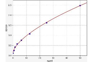 Typical standard curve (CRYAA ELISA 试剂盒)