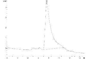 Size-exclusion chromatography-High Pressure Liquid Chromatography (SEC-HPLC) image for CD276 (CD276) (AA 29-245) protein (His tag) (ABIN7273951)