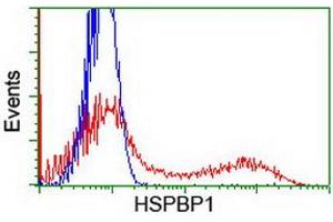 HEK293T cells transfected with either RC201814 overexpress plasmid (Red) or empty vector control plasmid (Blue) were immunostained by anti-HSPBP1 antibody (ABIN2454980), and then analyzed by flow cytometry. (HSPBP1 抗体)
