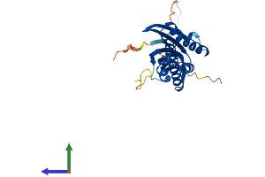 Protein Structure (PS) image for Interleukin-1 Receptor-Associated Kinase 1 Binding Protein 1 (IRAK1BP1) (AA 1-259) protein (His tag) (ABIN7561470)