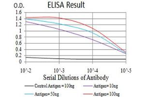 Fig. (AKT1 抗体  (AA 1-150))