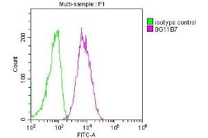 Overlay histogram showing Raji cells stained with ABIN7147133 (red line) at 1:100.