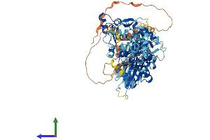 Protein Structure (PS) image for Calpain 3 (CAPN3) (AA 1-821) protein (His tag) (ABIN7557851)