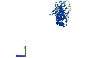 AlphaFold protein structure predicition of Human Recombinant FANK1 Protein, UniprotID Q8TC84