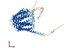 Protein Structure (PS) image for Solute Carrier Family 19, Member 3 (Slc19a3) (AA 1-488) protein (His tag) (ABIN7560463)