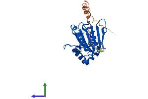 AlphaFold protein structure predicition of Human Recombinant EIF4E1B Protein, UniprotID A6NMX2