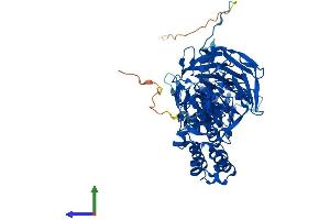 Protein Structure (PS) image for Kelch-Like 9 (KLHL9) (AA 1-617) protein (His tag) (ABIN7548931)