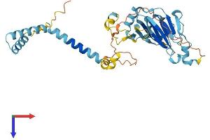 AlphaFold protein structure predicition of Human Recombinant C6orf89 Protein, UniprotID Q6UWU4 (C6orf89 Protein (AA 1-347) (His tag))