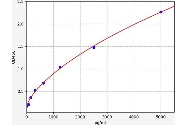 DLL4 ELISA 试剂盒