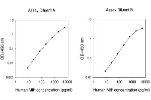 ELISA image for Macrophage Migration Inhibitory Factor (Glycosylation-Inhibiting Factor) (MIF) ELISA Kit (ABIN625252) (MIF ELISA 试剂盒)