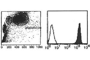 Flow Cytometry (FACS) image for anti-Vanin 2 (VNN2) antibody (PE) (ABIN1109469) (VNN2 抗体  (PE))