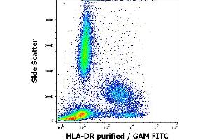 Flow cytometry surface staining pattern of human peripheral whole blood stained using anti-human HLA-DR (HL-39) purified antibody (concentration in sample 0.