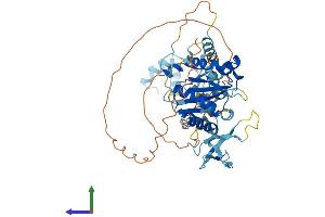 AlphaFold protein structure predicition of Mouse Recombinant Gin1 Protein, UniprotID Q8K259