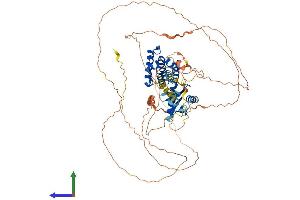 AlphaFold protein structure predicition of Mouse Recombinant Gas2l3 Protein, UniprotID Q3UWW6 (GAS2L3 Protein (AA 1-683) (His tag))