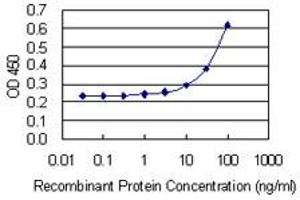 Detection limit for recombinant GST tagged CRYBB2 is 3 ng/ml as a capture antibody. (CRYbB2 抗体  (AA 1-205))