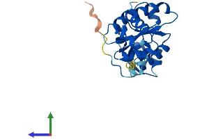 AlphaFold protein structure predicition of Human Recombinant FAAP24 Protein, UniprotID Q9BTP7
