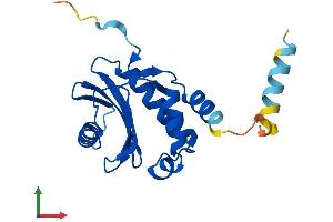 Protein Structure (PS) image for Coatomer Protein Complex, Subunit zeta 1 (COPZ1) (AA 1-177) protein (His tag) (ABIN7556589)
