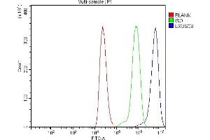 anti-Exosome Component 8 (EXOSC8) (AA 49-216) antibody