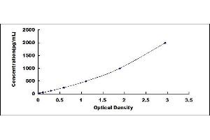 Typical standard curve (LI Cadherin ELISA 试剂盒)