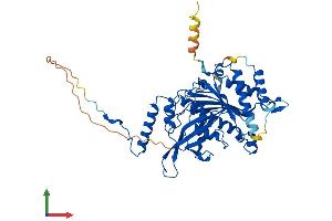 Protein Structure (PS) image for Mitochondrial Ribosomal Protein S30 (MRPS30) (AA 1-442) protein (His tag) (ABIN7560835)