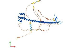 AlphaFold protein structure predicition of Mouse Recombinant Nfe2 Protein, UniprotID Q07279