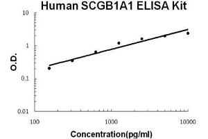 Human SCGB1A1/uteroglobin PicoKine ELISA Kit standard curve