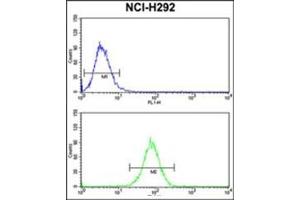 AP17991PU-N Dynamin-3 antibody Flow Cytometry analysis of NCI-H292 cells (Bottom Histogram) compared to a Negative Control cell (Top Histogram). (Dynamin 3 抗体  (Middle Region))