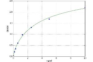 A typical standard curve (RRM2 ELISA 试剂盒)
