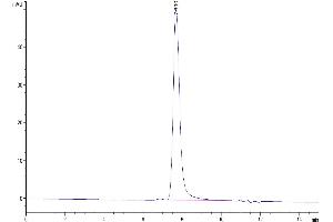 Size-exclusion chromatography-High Pressure Liquid Chromatography (SEC-HPLC) image for Fms-Related tyrosine Kinase 3 Ligand (FLT3LG) (AA 27-189) protein (Fc Tag) (ABIN7274661)