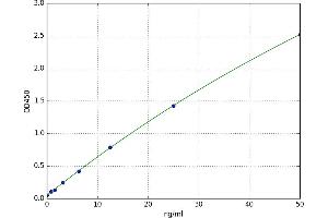 Carbonic Anhydrase I (CA1) ELISA Kit