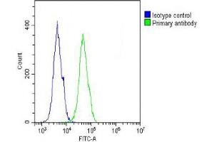 Overlay histogram showing A431 cells stained with Antibody (green line). (COL17A1 抗体  (AA 475-504))