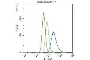 Flow Cytometry analysis of U937 cells using anti-CD153 antibody .