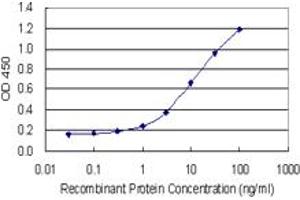 Detection limit for recombinant GST tagged SHMT2 is 0. (SHMT2 抗体  (AA 401-503))