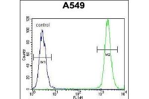 TRIM9 Antibody (C-term) (ABIN655760 and ABIN2845203) flow cytometric analysis of A549 cells (right histogram) compared to a negative control cell (left histogram). (TRIM9 抗体  (C-Term))