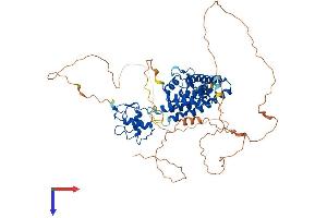 NR4A2 Protein (AA 1-598) (His tag)
