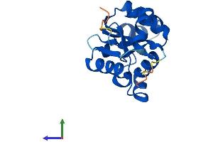 Protein Structure (PS) image for NME/NM23 Nucleoside Diphosphate Kinase 6 (NME6) (AA 1-186) protein (His tag) (ABIN7549733)