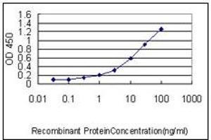 ELISA image for anti-Cut-Like Homeobox 1 (CUX1) (AA 521-621) antibody (ABIN614596) (CUX1 抗体  (AA 521-621))
