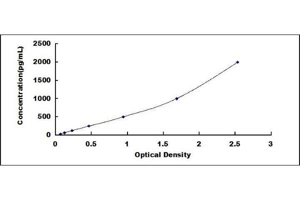 Tissue factor ELISA 试剂盒