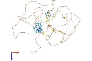 EWSR1 Protein (AA 1-655) (His tag)