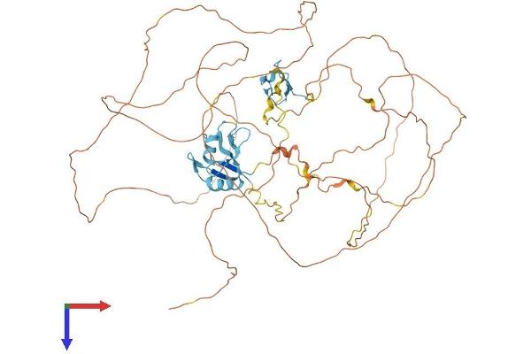 EWSR1 Protein (AA 1-655) (His tag)