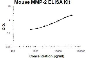 Mouse MMP-2 Accusignal ELISA Kit Mouse MMP-2 AccuSignal ELISA Kit standard curve. (MMP2 ELISA 试剂盒)