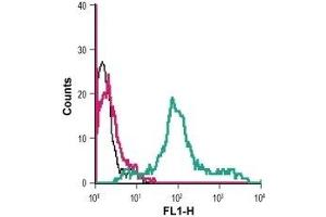 Cell surface detection of PAR-4 in live intact human MEG-01 megakaryoblastic leukemia cells: (black line) Cells.