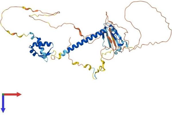E2F3 Protein (AA 1-457) (His tag)