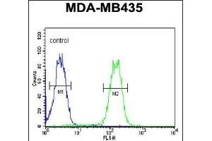 LYRM4 Antibody (Center) (ABIN654638 and ABIN2844335) flow cytometric analysis of MDA-M cells (right histogram) compared to a negative control cell (left histogram). (LYRM4 抗体  (AA 43-69))